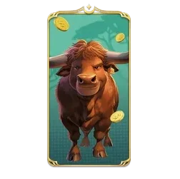 Buffalo



King